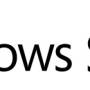windows-server-2008-logo-grand.jpg